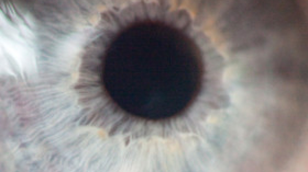 oko_1-280x280