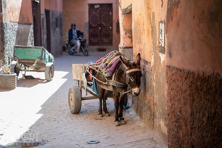 Maroko / Morocco