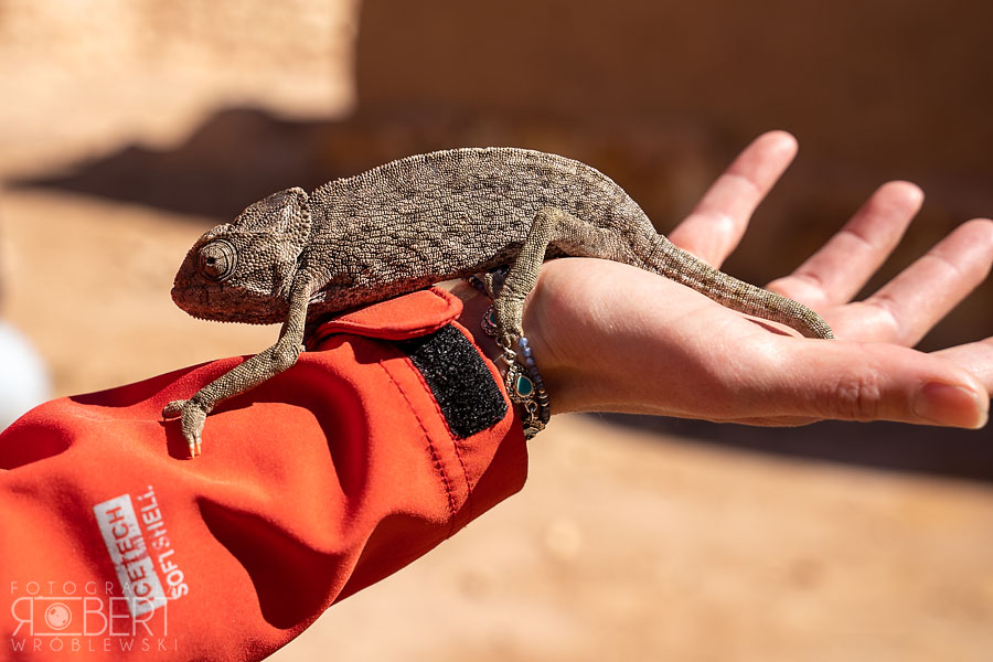Maroko / Morocco