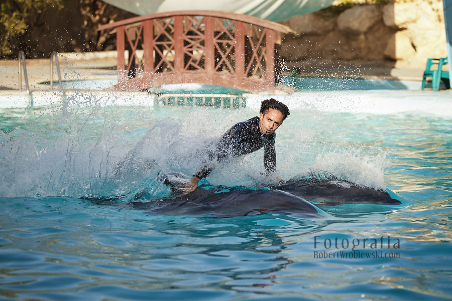 Delfinarium
