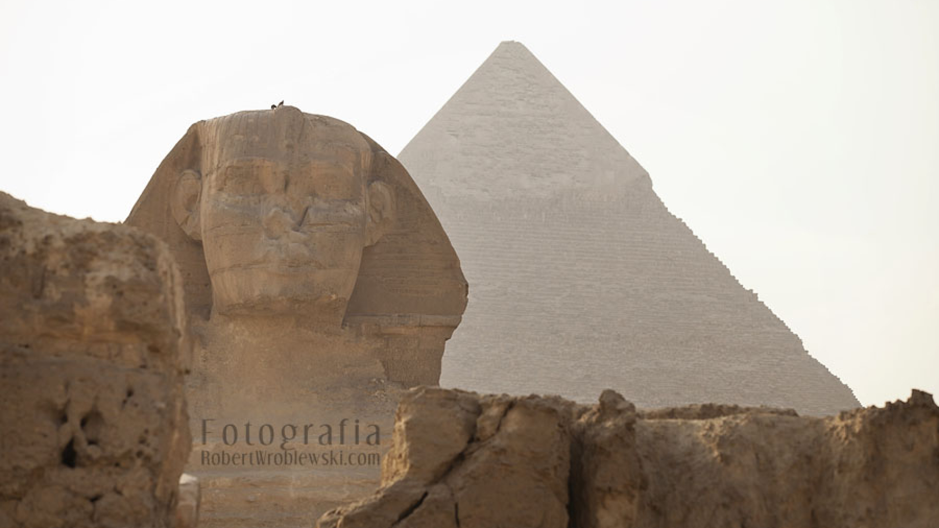 058_sfinks-sphinx