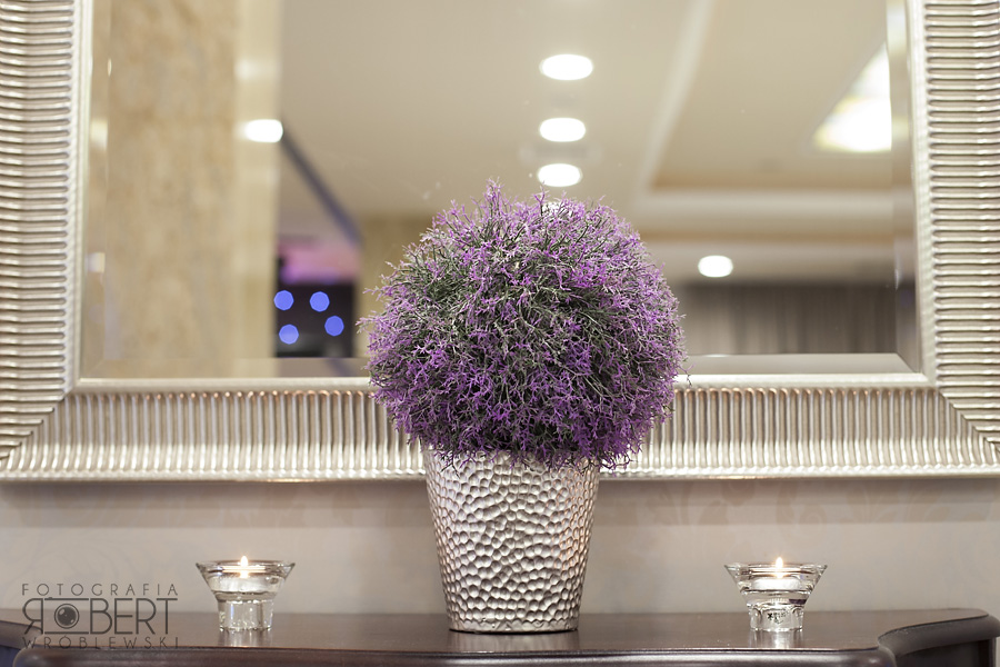 Hotel Afrodyta Business & SPA sala weselna