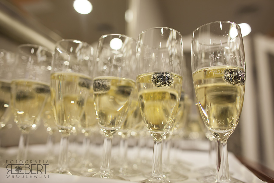 Hotel Afrodyta Business & SPA - wnętrza sali