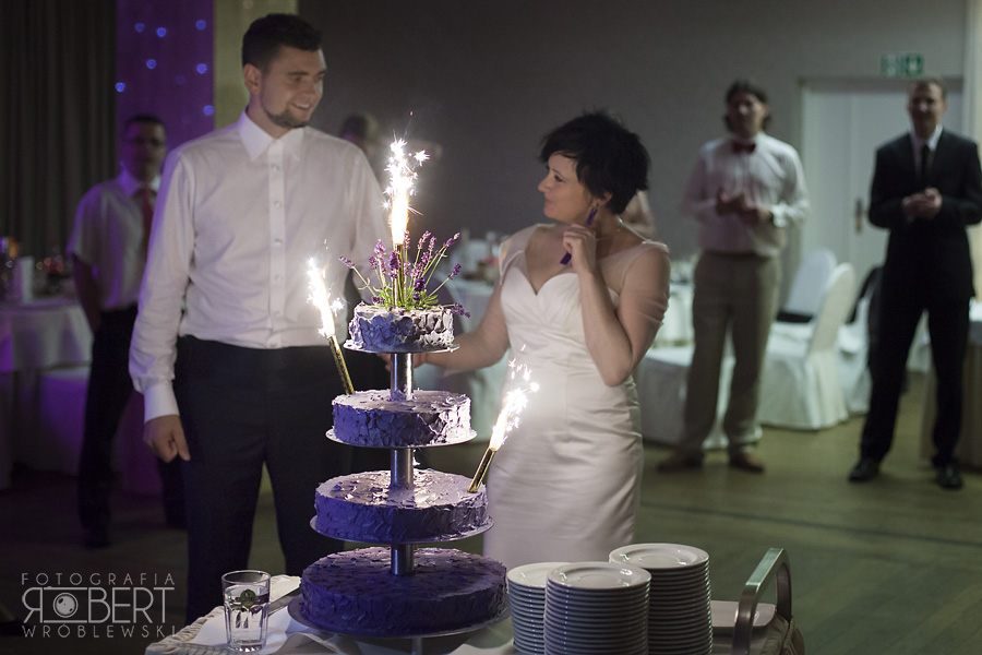 Reportaż ślubny z Hotelu Afrodyta Tartak Brzózki