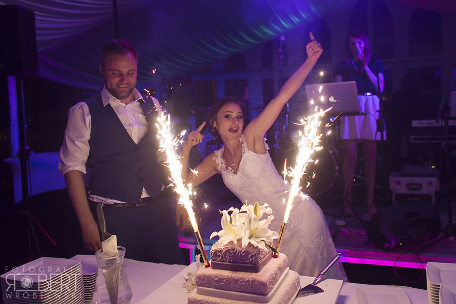 Nocne niebo nad Jeziorem Zegrzyńskim